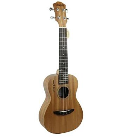 AU07L-21 Winzz Fairy Series Soprano Ukulele