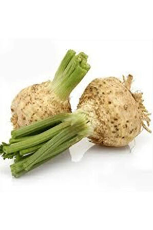 20 Adet Tohum Yerli Organik Kereviz Tohumu