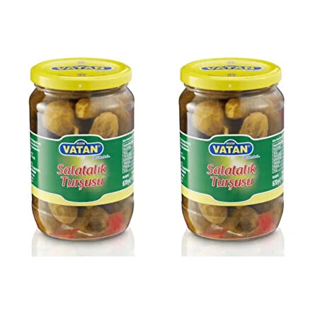 Vatan Salatalık Turşusu 670 gr 2 ADET