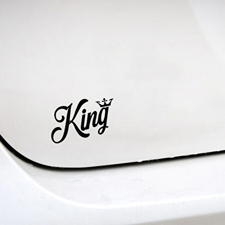 Aslan Araba Sticker Etiket Yapıştırması 17CM Kelebek Siyah