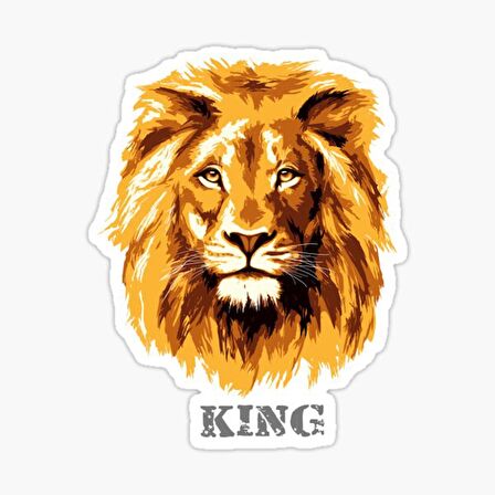 Aslan Araba Sticker Etiket Yapıştırması 19CM md1
