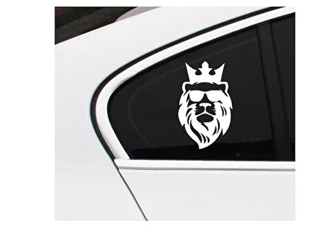 Aslan Araba Sticker Etiket Yapıştırması 19CM md5