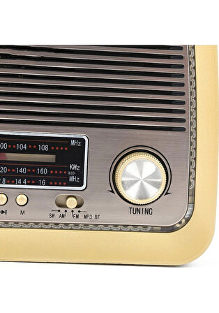RT-301 Fenerli Nostaljik Müzik Kutusu USB Sd Aux  Bluetooth Fm Radyo MP3 Çalar