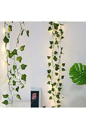 Dekoratif Yeşil Yapraklı 230 Cm Yapay Sarmaşık Ve 3 Metre Peri Led Gün Işığı Renk