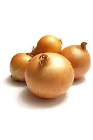 100 Adet Kışlık Kuru Soğan Tohumu