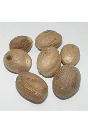 25 Adet Muskat Cevizi Aktarnize Hint Çevizi