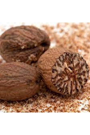 25 Adet Muskat Cevizi Aktarnize Hint Çevizi