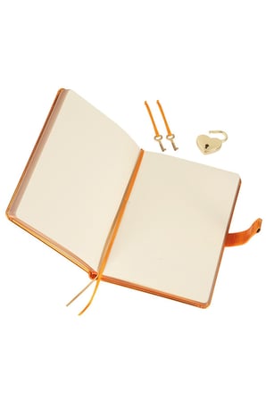 Victoria's Journals Hush Kilitli Not Defteri 160 Yaprak Çizgisiz Turuncu 4401 13x18Cm