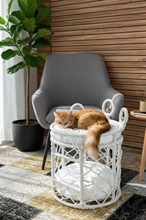 Reyo Lüxperi Kristal Taşlı İki Katlı Kedi Yatağı, Kedi Ranzası Beyaz
