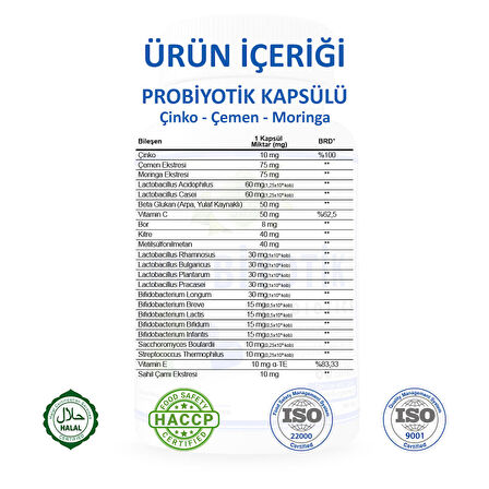 Probiyotik Kapsül (Probiotics Capsule)