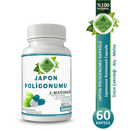 Japon Poligonumu Kapsül (JAPANESE POLYGON CAPSULE)