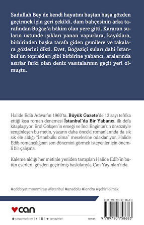 İstanbul'da Bir Yabancı