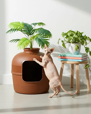 Reyo Dekorapet Dekoratif Kedi Tuvaleti Kahverengi