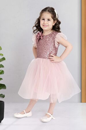 Küpeli Pul Payet Tüllü Kız Çocuk Elbise MNK0526