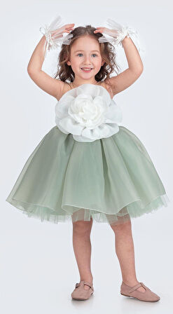 Karolin Robası Çiçekli Bilekli Aksesuarlı Kız Çocuk Abiye Elbise M00724