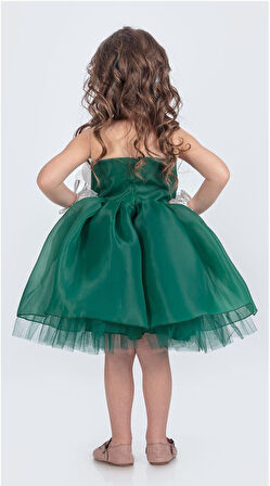 Karolin Robası Çiçekli Bilekli Aksesuarlı Kız Çocuk Abiye Elbise M00724