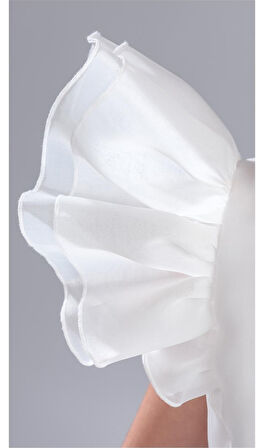 Kız Çocuk Kuyruklu , Taçlı Vragia Abiye Elbise M00745