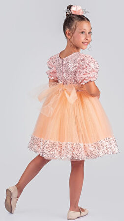 Kız Çocuk Etek Ucu Pullu Venna Abiye Elbise M00761