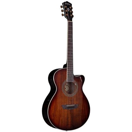 Washburn Ea55g Festival Elektro Akustik Gitar