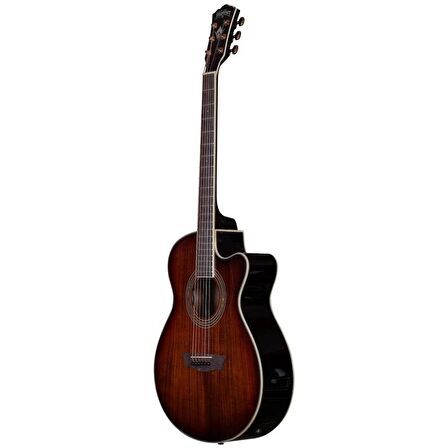 Washburn Ea55g Festival Elektro Akustik Gitar