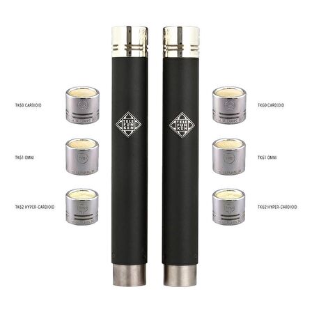 Telefunken Elektroakustik M60 Fet Master Stereo Set