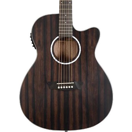 Washburn Dfeace Deep Forest Ebony Ace Elektro Akustik Gitar