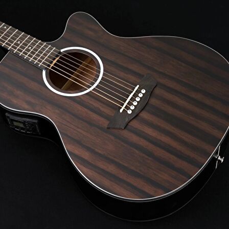 Washburn Dfeace Deep Forest Ebony Ace Elektro Akustik Gitar