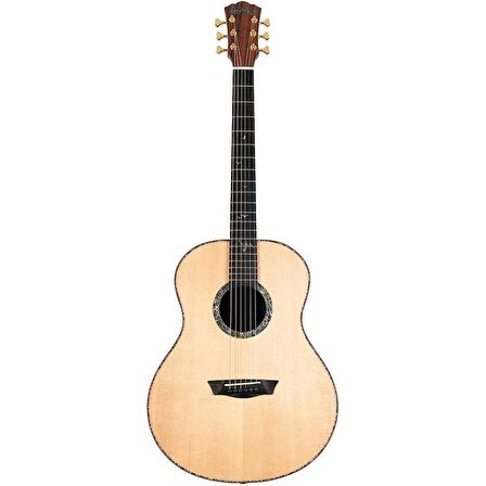 Washburn Bella Tono Elegante S24s Akustik Gitar