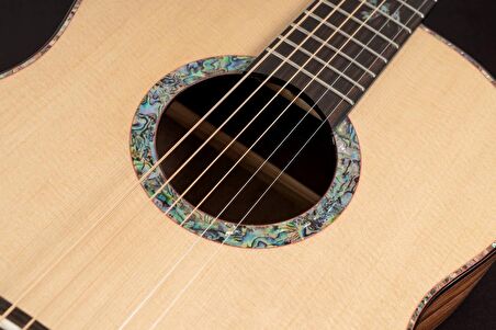 Washburn Bella Tono Elegante S24s Akustik Gitar