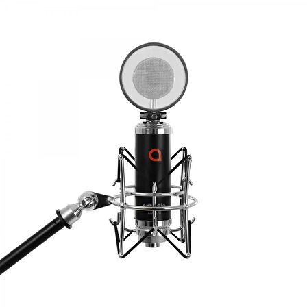 Artesia Amc-20 Condenser Mikrofon