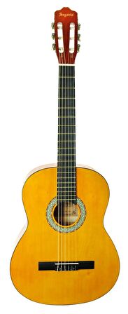 Gitar Klasik Segovia SGC100Y