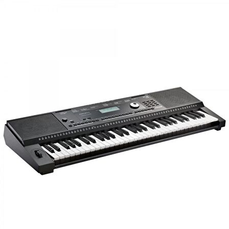 Kurzweil Kp100 Org