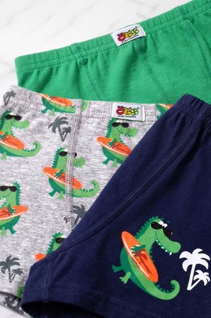 Öts Erkek Çocuk 3’lü Pamuklu Boxer Baskılı Premium Günlük Kullanım (7814-3)