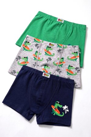 Öts Erkek Çocuk 3’lü Pamuklu Boxer Baskılı Premium Günlük Kullanım (7814-3)