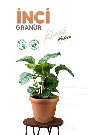 Omnipazar KRS-341 Dekoratif İnci Bitki Çiçek Saksı Takımı 1.1 Litre No 1