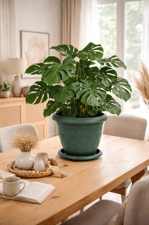 Omnipazar SO-D007 Damla Desen Tabaklı Saksı Takımı 8 Litre No:7 Yeşil 6 Adet