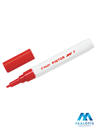  Pilot Pintor F 1.0 mm Marker Kalem