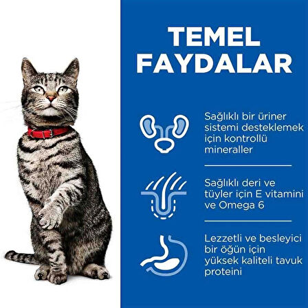 Hills Urinary Health Tavuklu Yetişkin Kedi Maması 1,5 kg