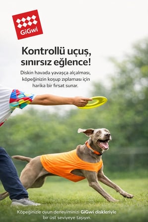 Skipdawg Duroflex Flugn Disc: Profesyonel Uçan Frizbi Köpek Oyuncağı