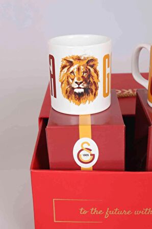 DEKOMUS GIFT BOX ÖZEL KUTULU LiSANSLI 2'Lİ GALATASARAY KUPA