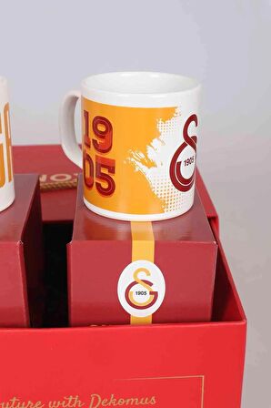 DEKOMUS GIFT BOX ÖZEL KUTULU LiSANSLI 2'Lİ GALATASARAY KUPA