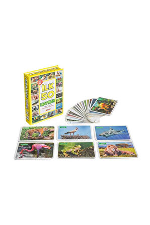 Eğitici Hafıza Kartları İlk 50 Hayvan Kelime Zeka Kartları - Bebekler İçin Eğlenceli Aktivite Set