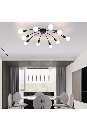 Modern Ceiling Avize