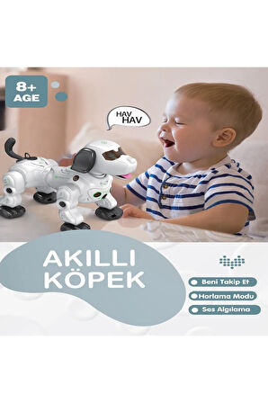 Uzaktan Kumandalı Işıklı ve Sesli Akıllı Robot Köpek Buhar Çıkaran Sesli Full Fonksiyon Köpek Kalite