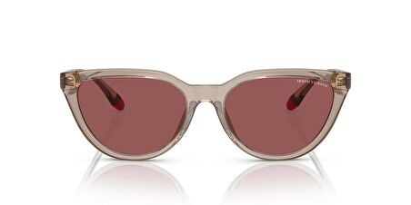 ARMANI EXCHANGE 4130SU 824069 56 KADIN GÜNEŞ GÖZLÜĞÜ