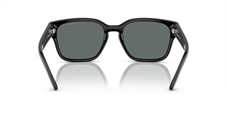 ARNETTE 4325 291081 54 Erkek Güneş Gözlüğü