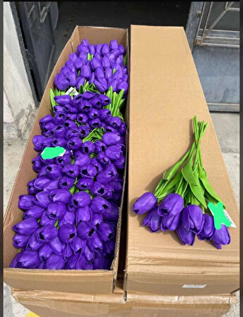 KAYZEN 6lı vazoya koymalık sarı lale