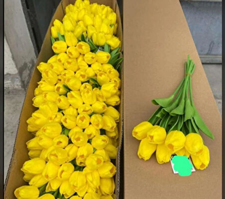 KAYZEN 6lı vazoya koymalık sarı lale