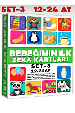 Bebeğimin Ilk Zeka Kartları Set-3 / 12-24 Ay Eğitici Kartlar Bebekler İçin Eğitici Oyuncak