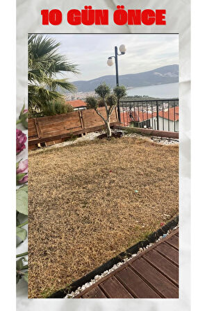Her ağacı kökten kurutan ilaç ÖZEL SOLÜSYON